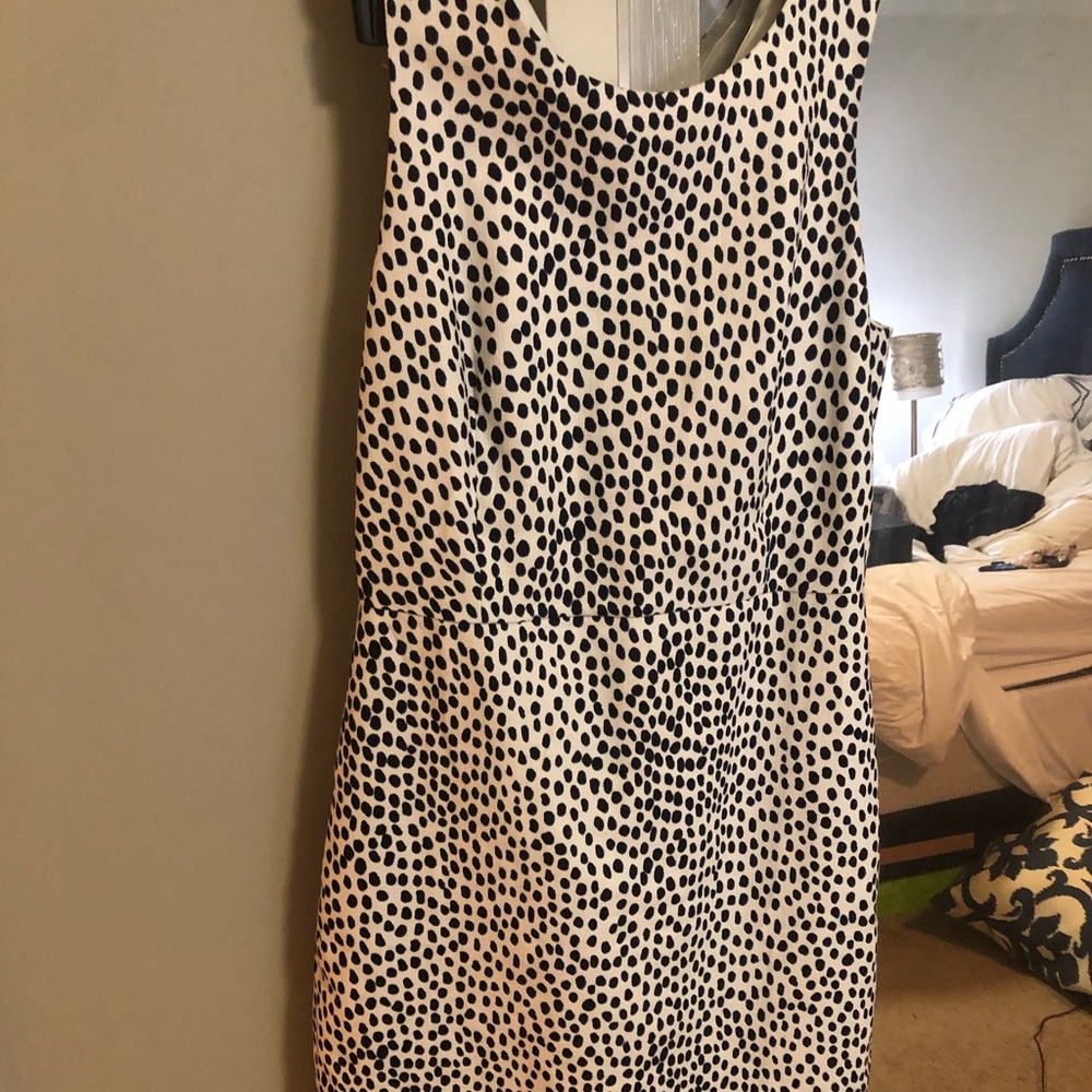 Jcrew factory, dotted work dress